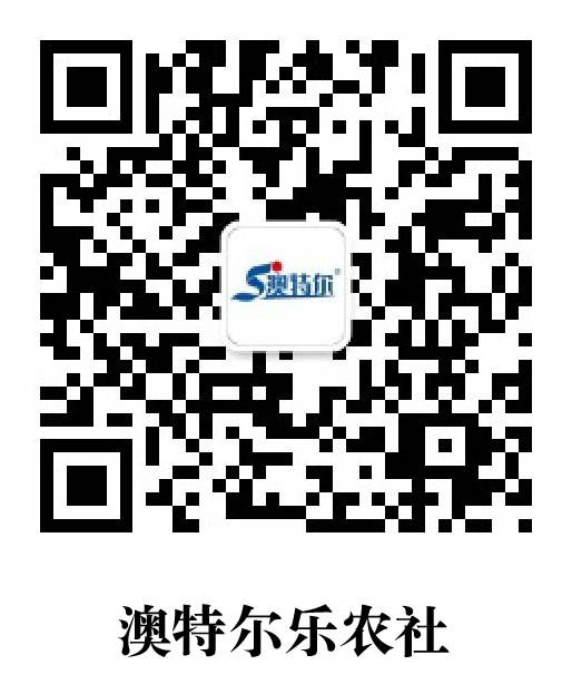 图17.jpg