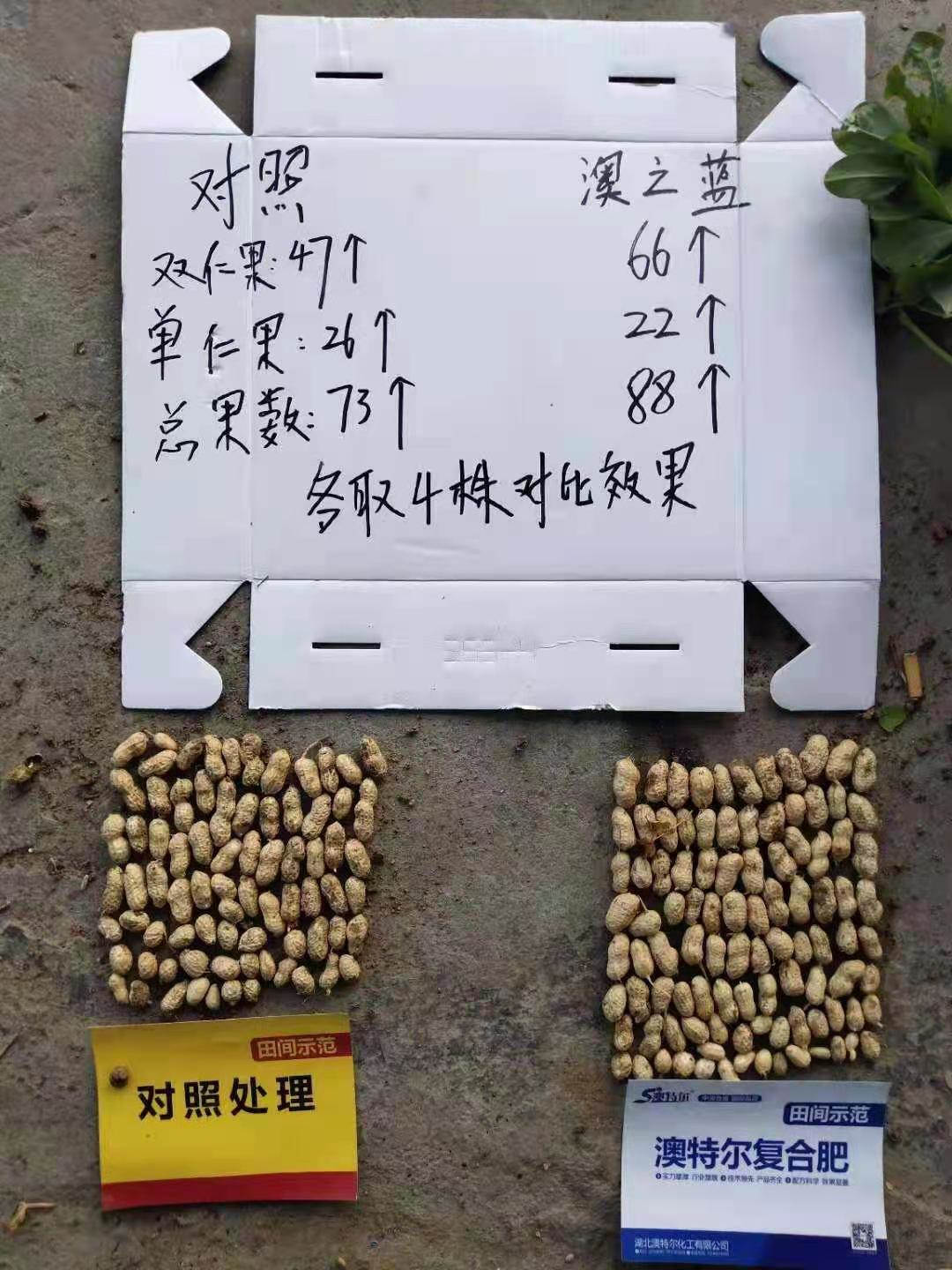 微信图片_202103111344413.jpg
