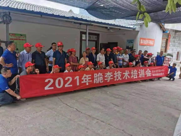 图片6两场种植技术培训观摩会现场.jpg 图片6两场种植技术培训观摩会现场.jpg
