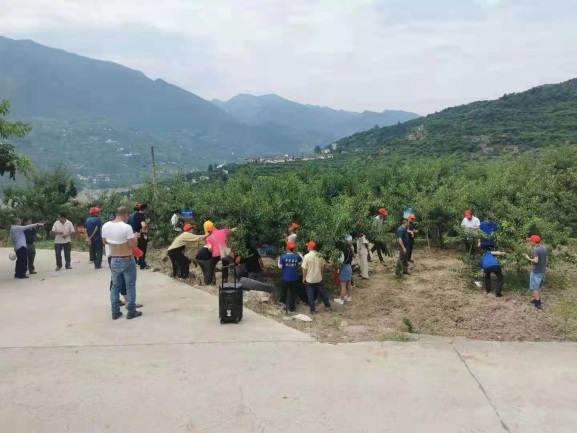 图片8罗德国老师在示范田观摩会现场讲解介绍澳之蓝套餐肥效果2.jpg 图片8罗德国老师在示范田观摩会现场讲解介绍澳之蓝套餐肥效果2.jpg