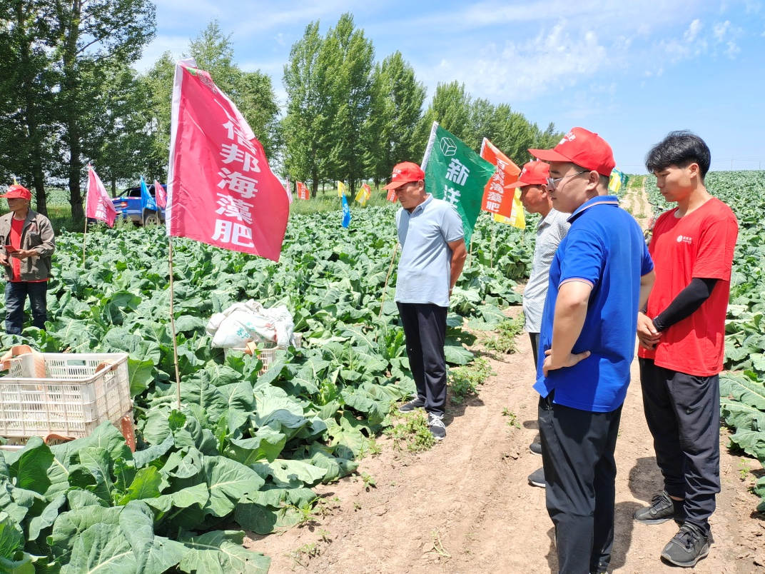 图片1蔬菜种植大户参观示范田长势情况.jpg