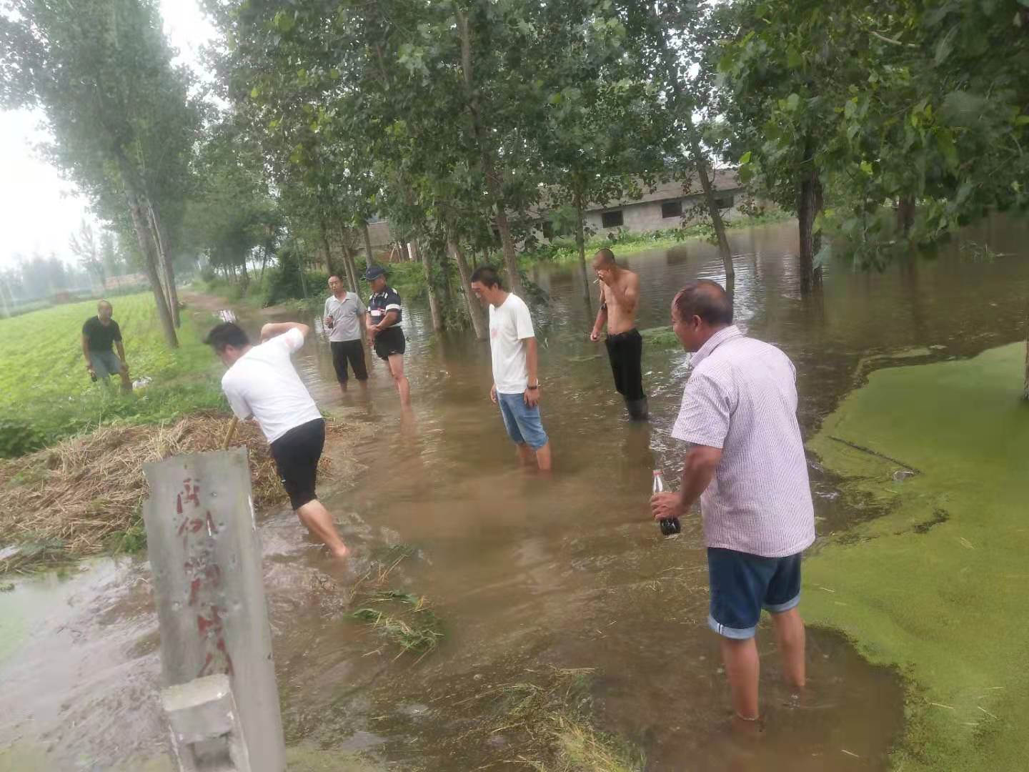 指导朝天椒种植户排涝.jpg