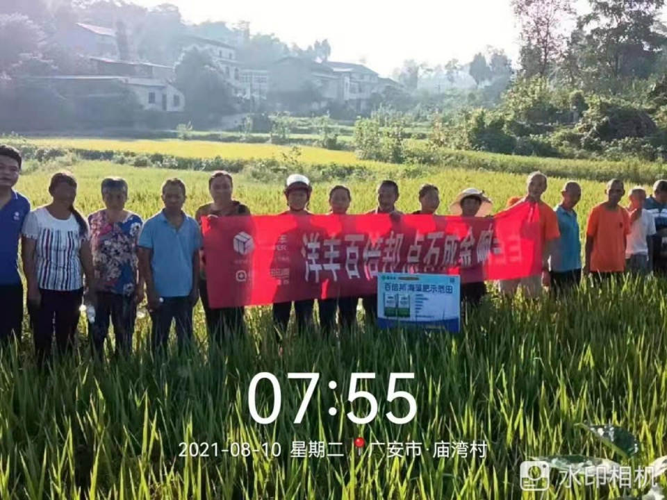 8月10日观摩会.jpg