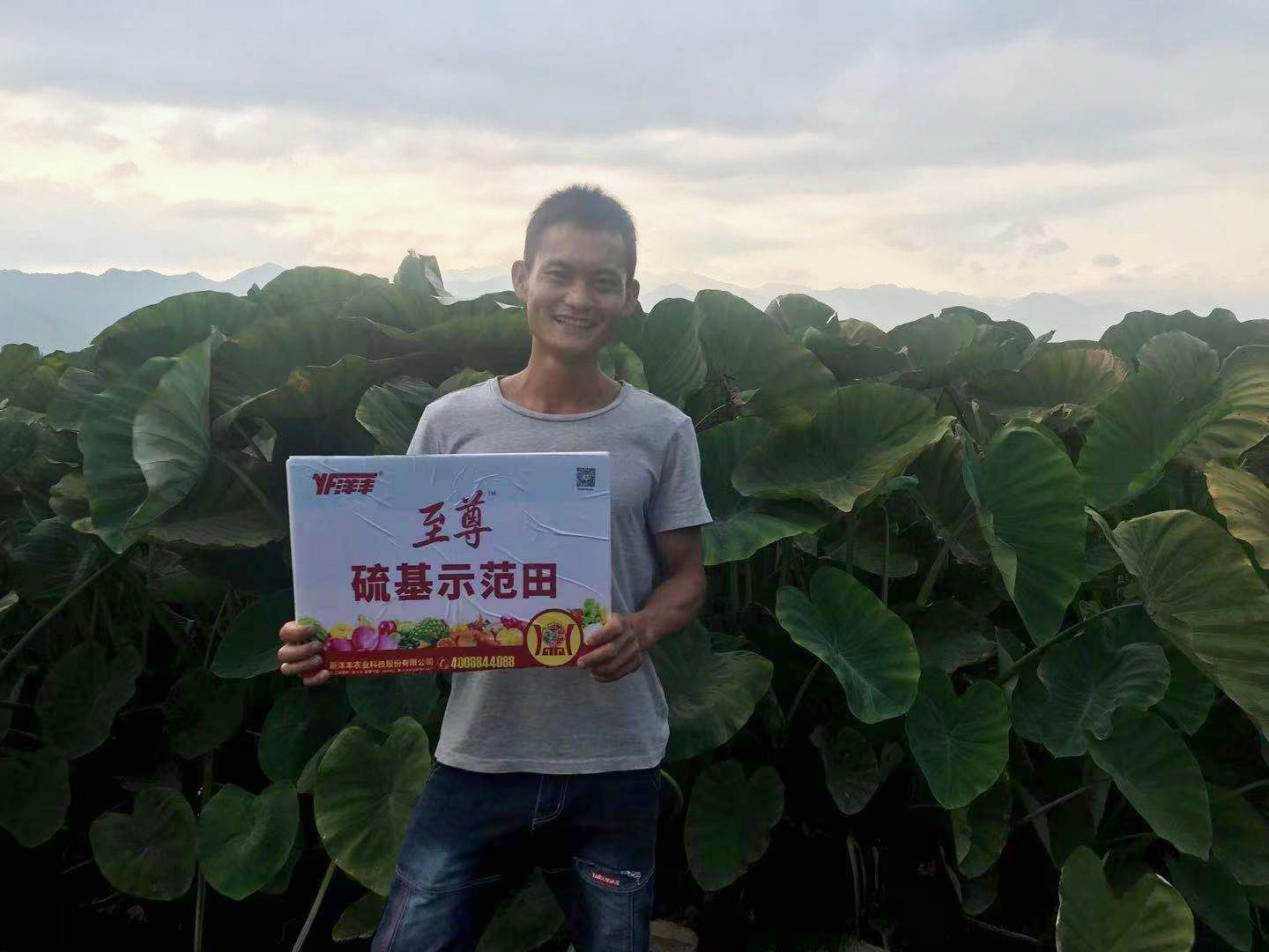 种植户在田间1_副本.jpg