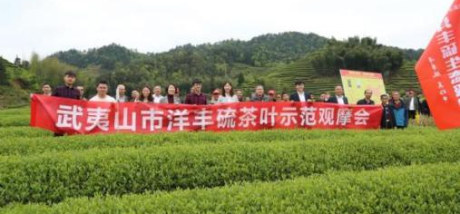 图片12019年洋丰硫观摩会.jpg
