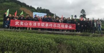 图片3-2021年洋丰硫观摩会.jpg