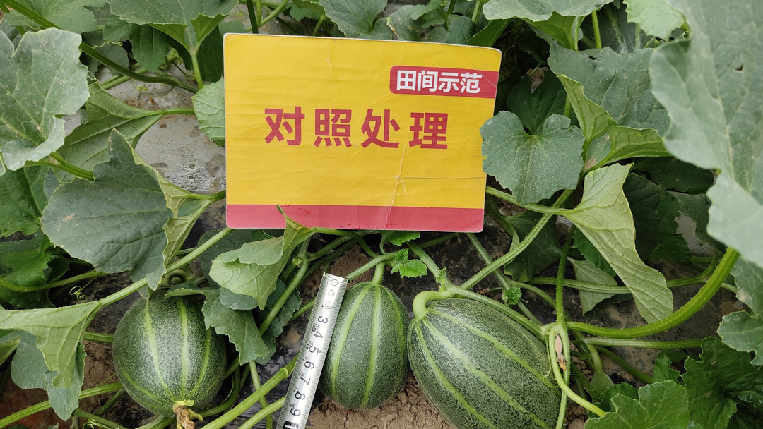 微信图片_20220502090958.jpg