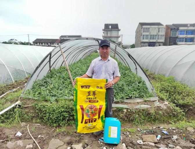 洋丰至尊葡萄、西瓜示范施肥现场照片2.jpg