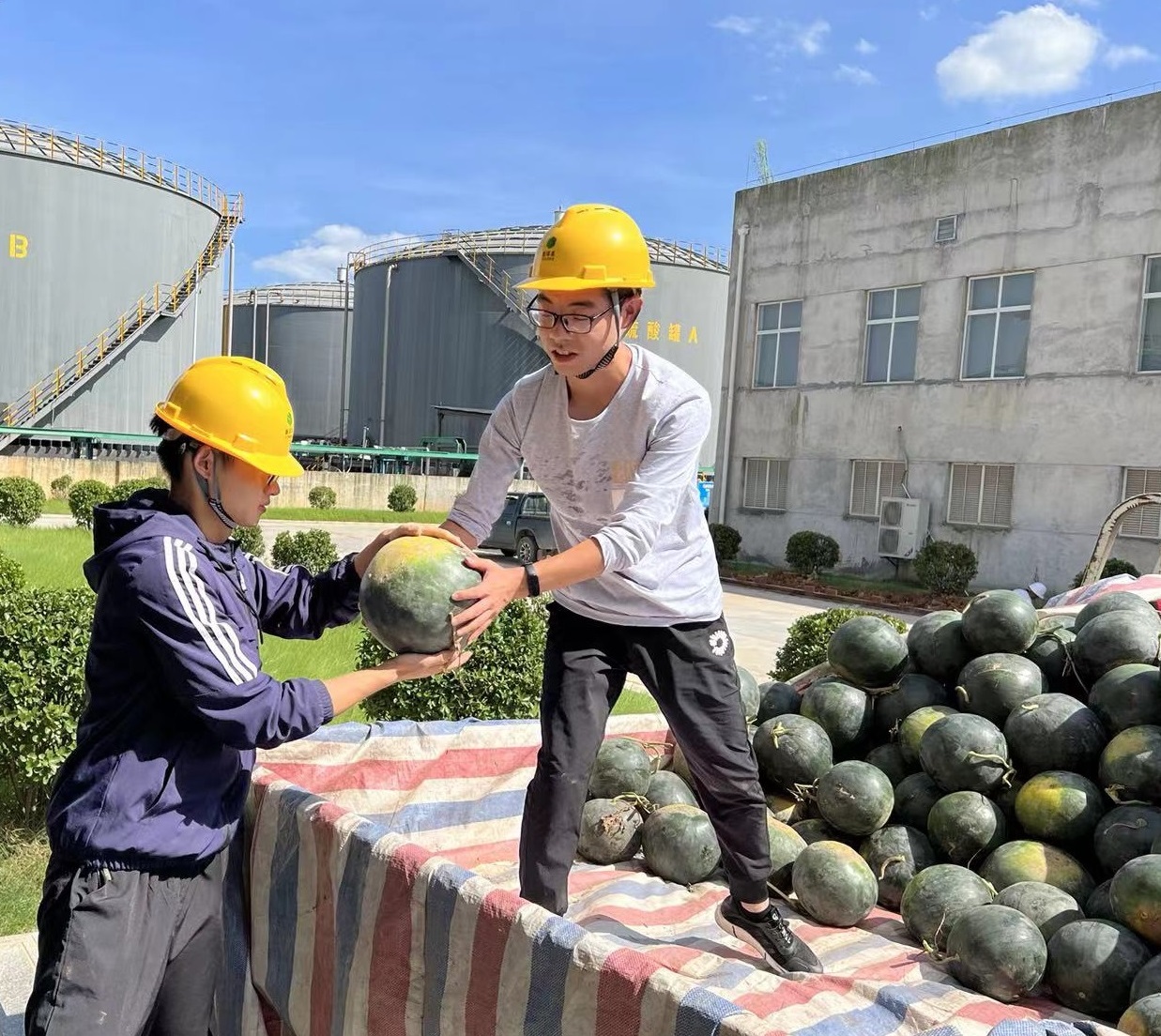 宜昌满冠体育为职工准备西瓜.jpg