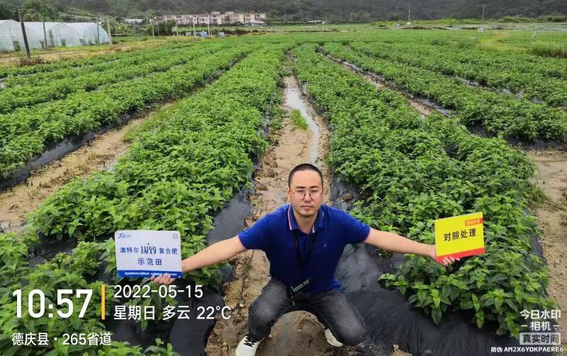 同田对照_副本.jpg