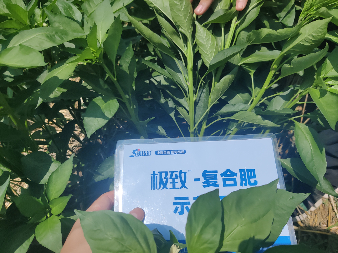 2组 (2).jpg