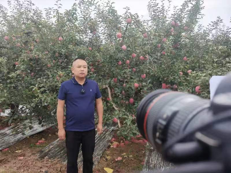 丁青青接受采访2.jpg 丁青青接受采访2.jpg