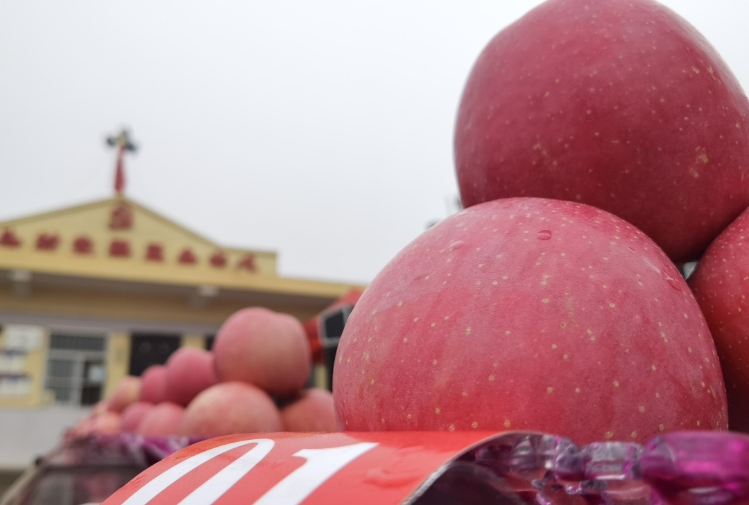 微信图片_20221005084208.jpg 微信图片_20221005084208.jpg