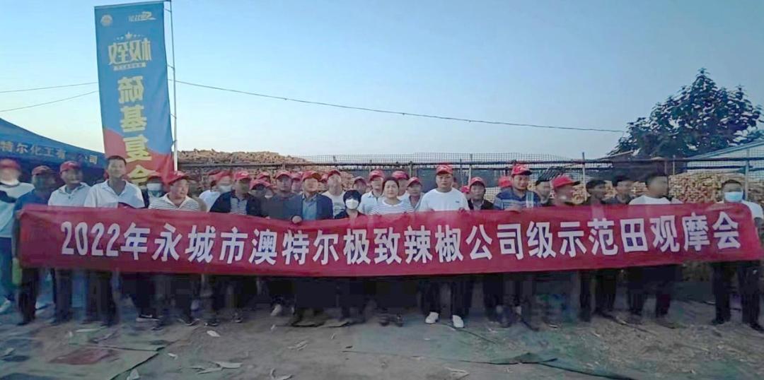 大合影.jpg